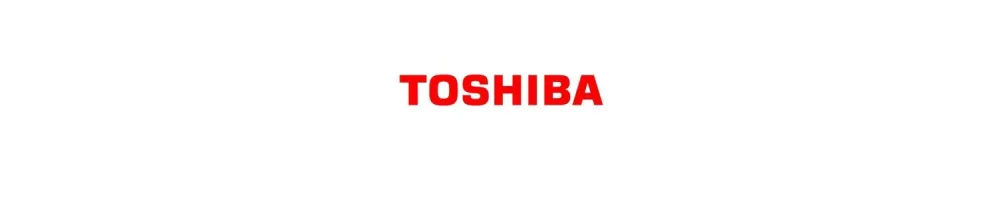 Οθόνη Toshiba laptop